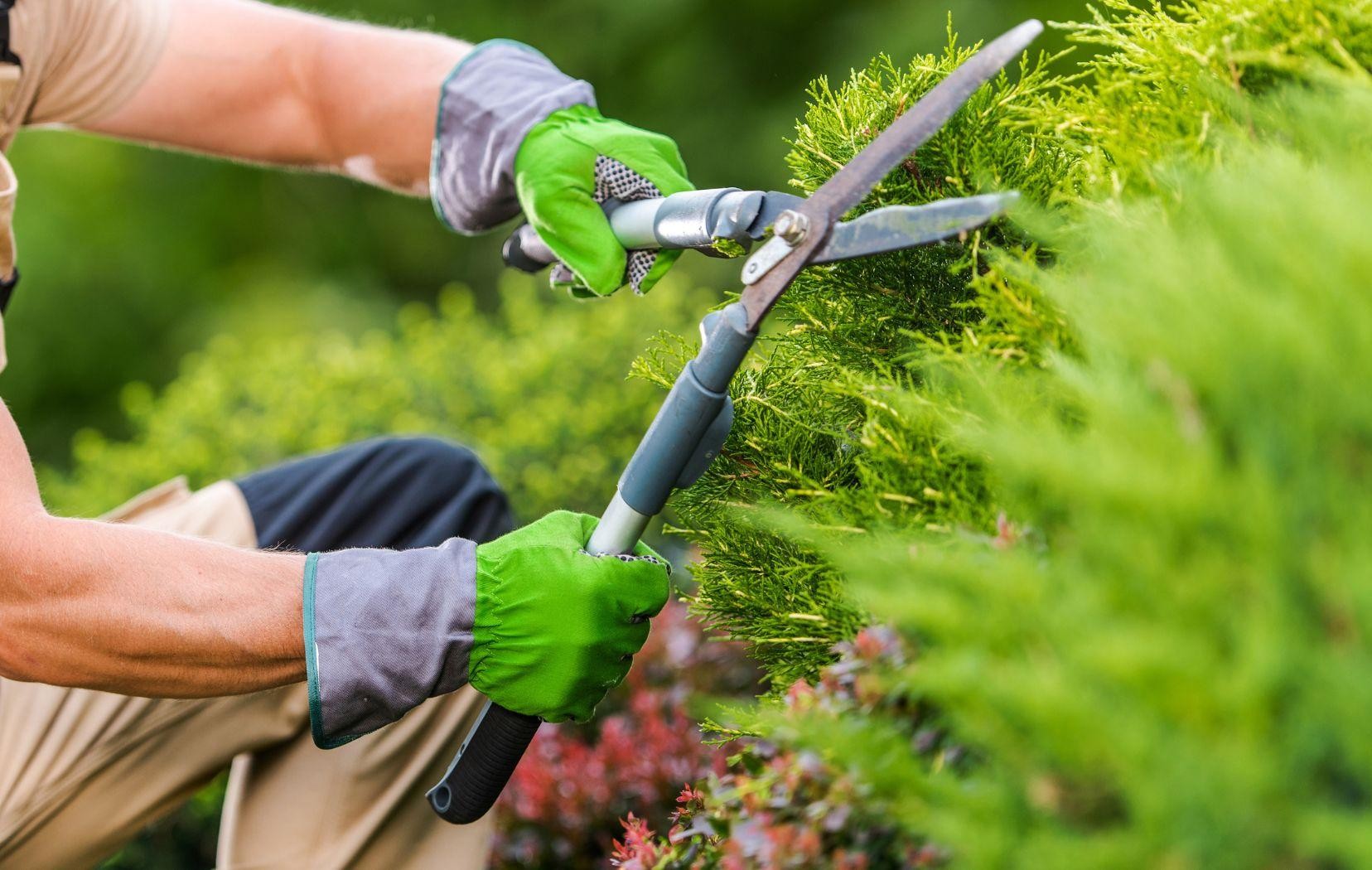 Renovation Project 1