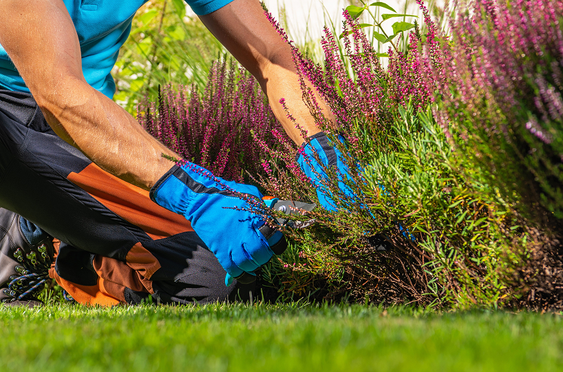 Core Building Services