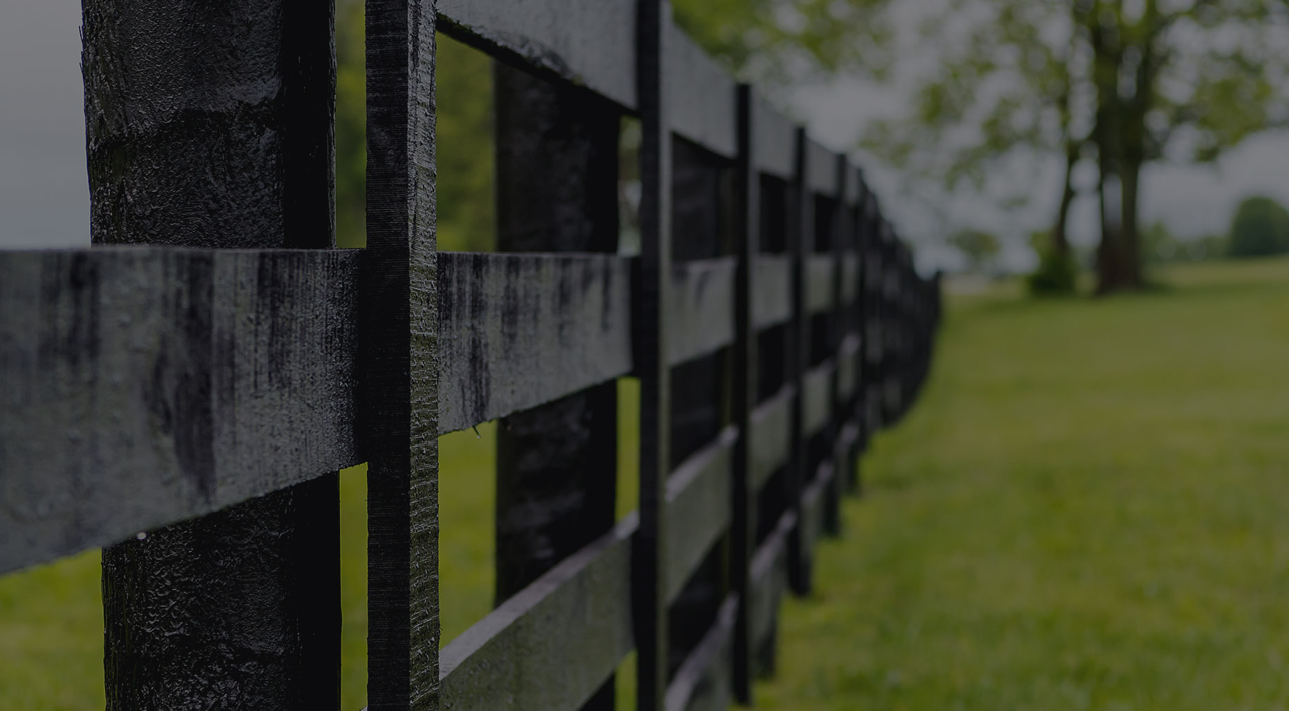 Renovation Project 4